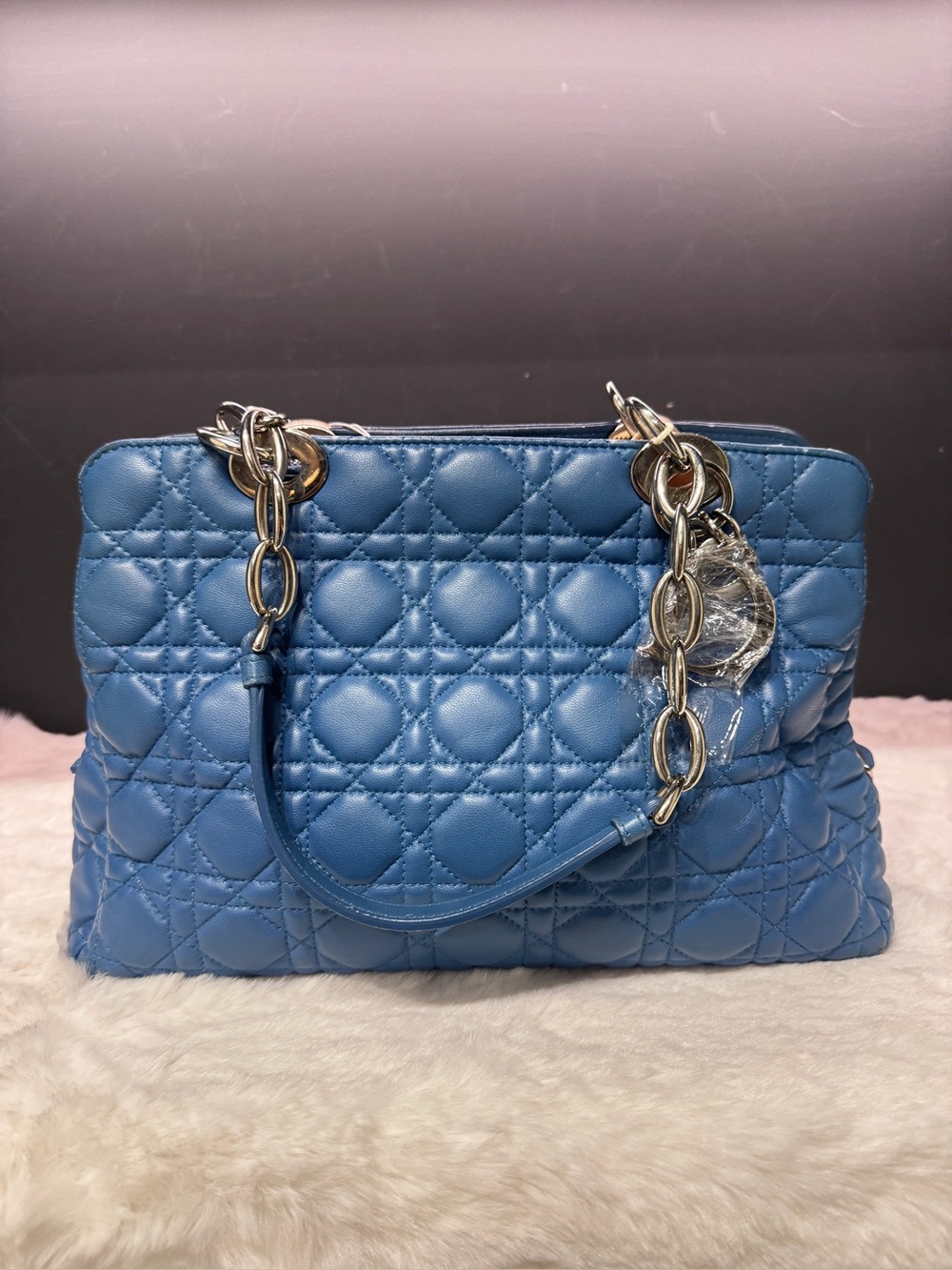 #11 Dior Miss Tote Blue
